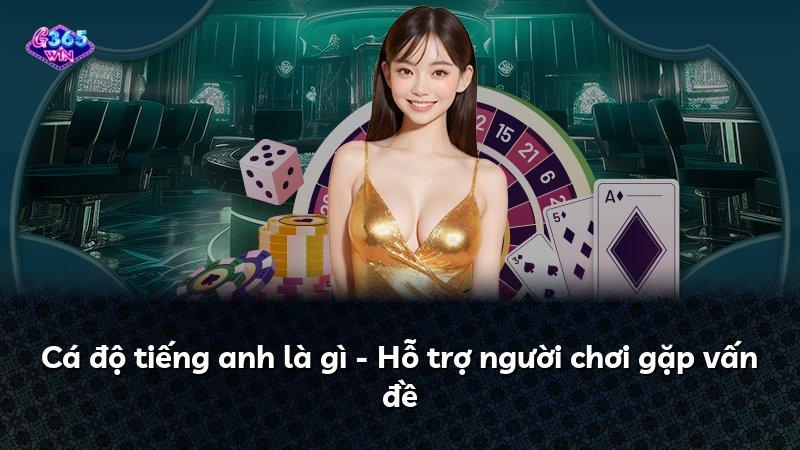 Cá độ tiếng anh là gì - Hỗ trợ người chơi gặp vấn đề