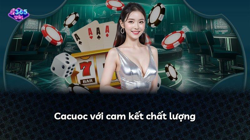 Cacuoc với cam kết chất lượng